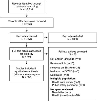 Reducing Inequities During the COVID-19 Pandemic: A Rapid Review and Synthesis of Public Health Recommendations